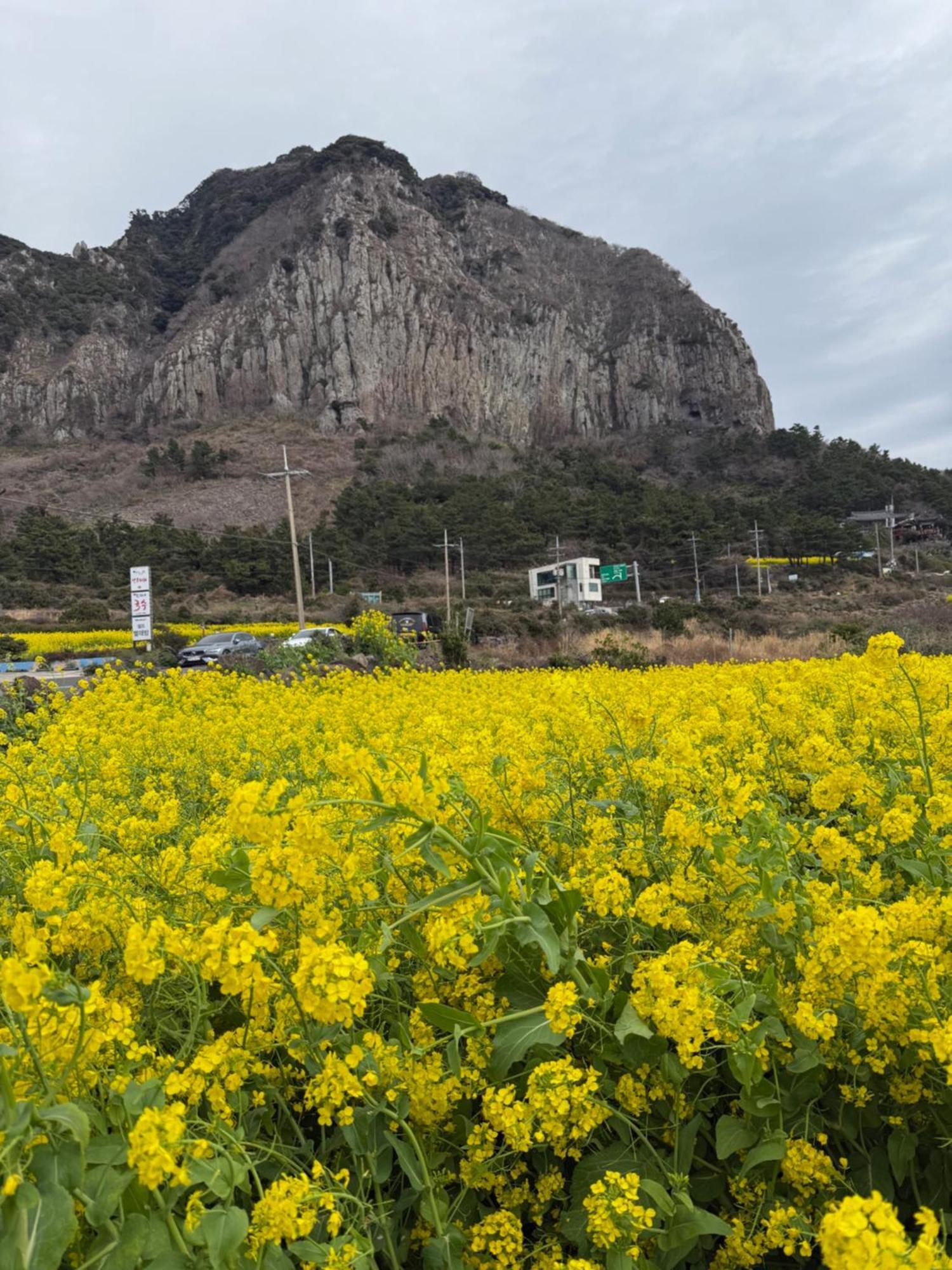 Jeju The Ocean Hill Pension ซอกวีโพ ภายนอก รูปภาพ