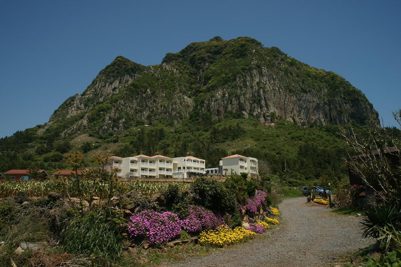 Jeju The Ocean Hill Pension ซอกวีโพ ภายนอก รูปภาพ